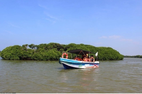 Negombo: Mokradła Muthurajawela i przygoda łodzią po kanale holenderskimNegombo: mokradła Muthurajawela i rejs łodzią po holenderskim kanale