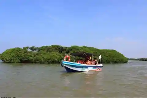 Colombo/Negombo: Aventura en barco por Muthurajawela y el Canal Holandés