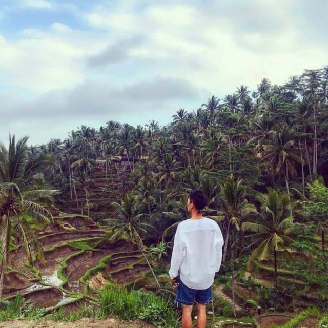 Ubud Tour Met Reinigingsritueel In De Tirta Empul Tempel GetYourGuide