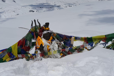 From Kathmandu: 12 Day Annapurna Base Camp private Trek