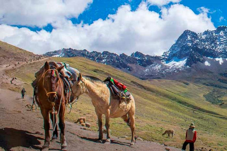 from Cusco : Excursion to Rainbow Mountain in Horse. Cusco: Horseback Excursion through the Rainbow Mountains