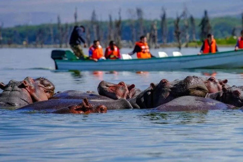 Excursion d'une journée au lac Nakuru et tour en bateau à Naivasha