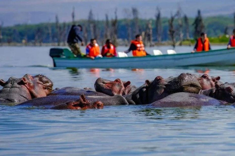 Excursion d'une journée au lac Nakuru et tour en bateau à Naivasha