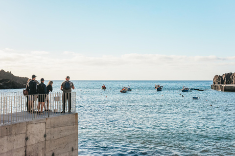 Tour naar het westen van MadeiraMajestueuze Madeira Ronde van het Westen