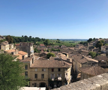 From Bordeaux: Half-Day Saint-Emilion Wine Tour