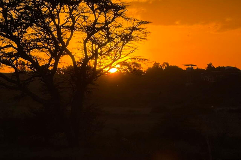 Nairobi National Park Night Safari with Armed Rangers