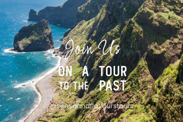 VW VAN Tours | NORDESTE