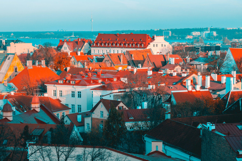 Tallinn Old Town: Medieval Stories, Estonian Food & Rooftop Walking Tour Only: (Food & Drinks Paid Separately)