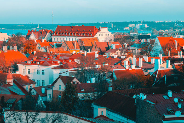 Tallinn Old Town: Medieval Stories, Estonian Food & Rooftop Complete Package: (Food & Drinks Included)