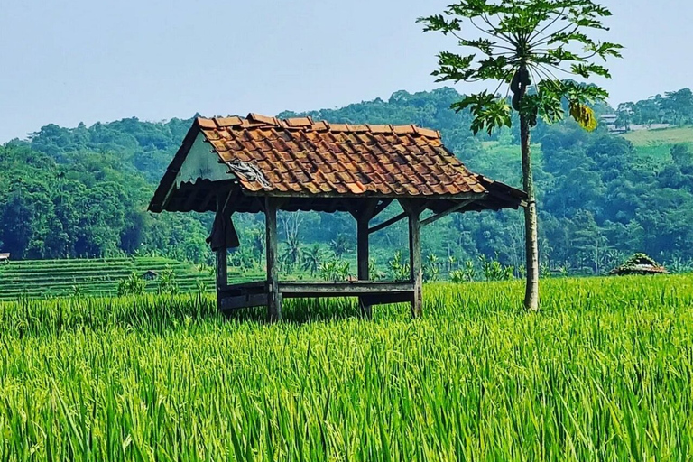 Yakarta: Volcán, campos de arroz y té, aguas termales y comida local