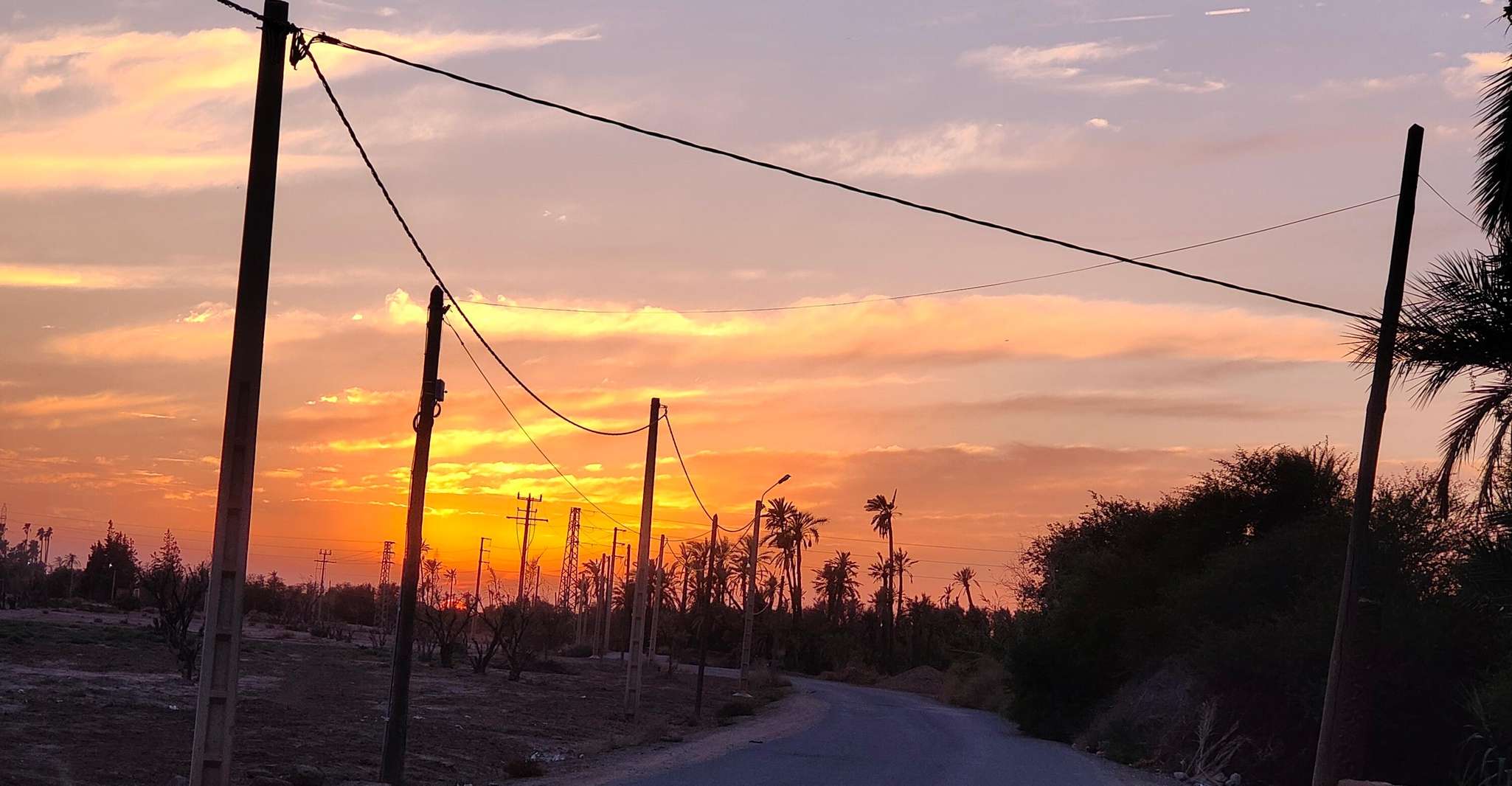 Marrakech, Quad Activity в Palmeraie с перерывом на чай - Housity