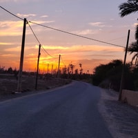 Marrakech, Quad activity in the Palmeraie with Tea break - Housity