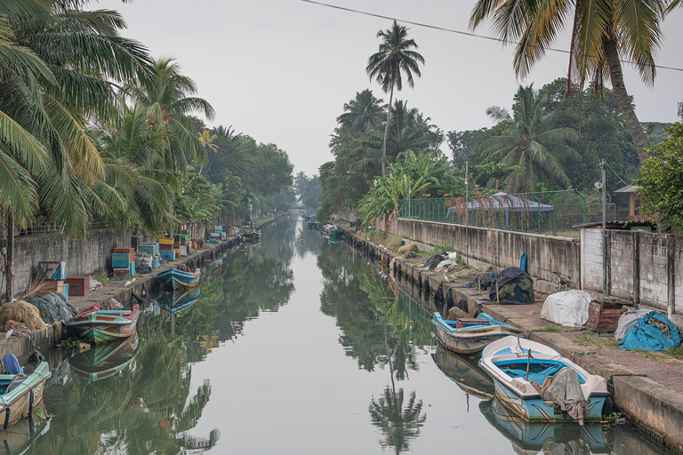 Negombo: tour guiado na cidade de tuk tuk com serviço de busca no hotel