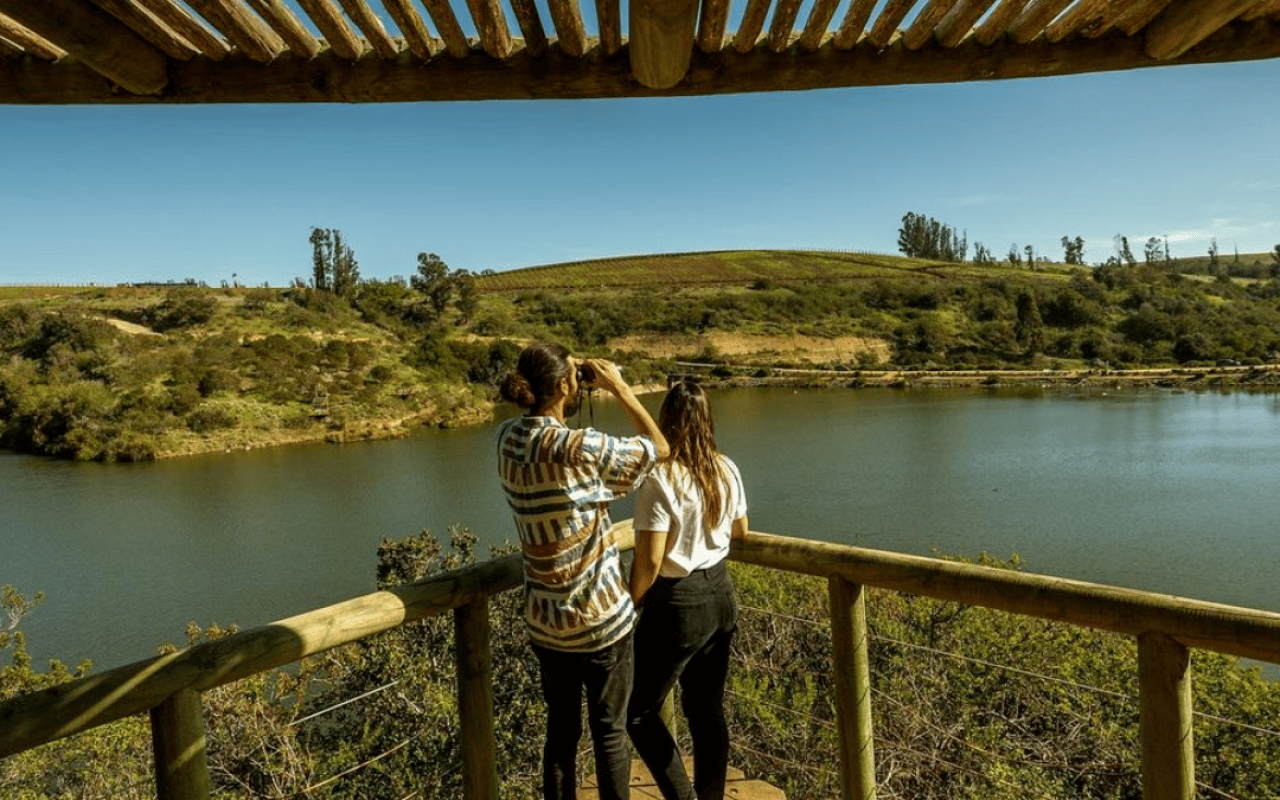 San Antonio und Tricao Park: Private Tour zur Beobachtung von Seelöwen und Vögeln
