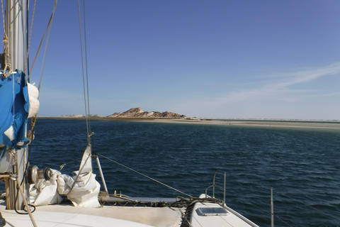 Dakhla: Catamaran Sailing Adventure with Island Visit