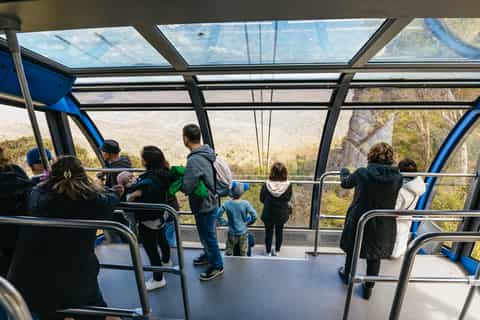 From Sydney: Blue Mountains Full-Day Trip with Cruise