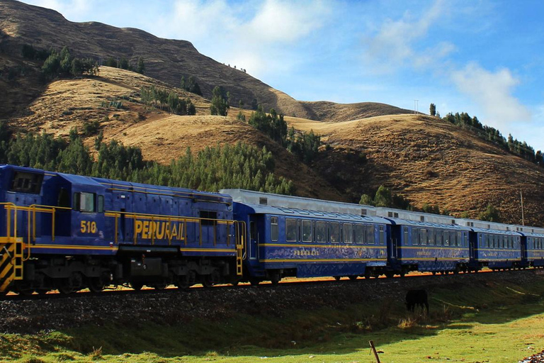 Machu Picchu: 1-day tour by Vistadome Panoramic trainMachupicchu tour: by train vistadome