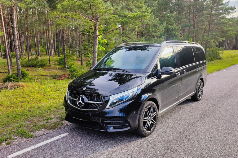 Helsingfors-Vanda flygplats: Privat transfer med skyttelbussMinivan