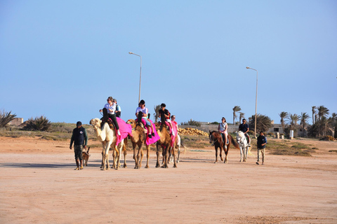 DJERBA : CHAMEAU ET CHEVAL (2H30).