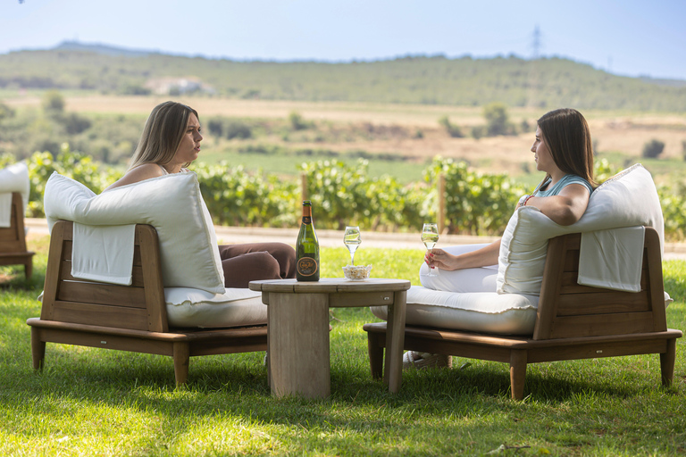 Barcelona: Cavas Hill - Visita a uma adega e degustação de queijosBarcelona: Colina Cavas - Tour pela adega e degustação de queijos