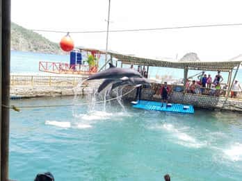 SANTAMARTA: TOUR Combo taximarino, aquarium, lunch and white beach