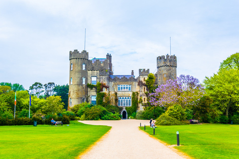 Dublin to Malahide Castle & Gardens Half-Day Trip by Car 4,5-hour: Malahide Castle & Gardens with Licensed Guide