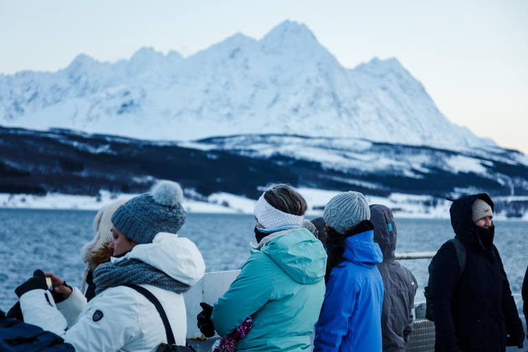 Tromsø: Lyngen Alps Snowmobile Tour with Soup &amp; Drinks