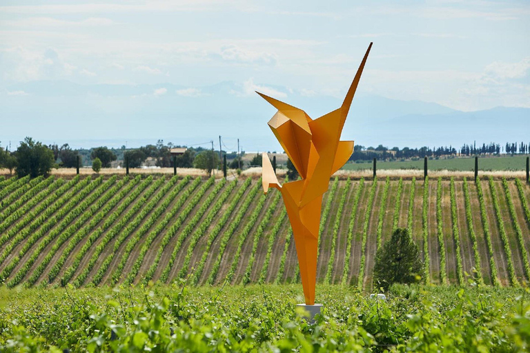 Epanomi Wine Escape: Fine Wines, Vineyards & Wine Museum