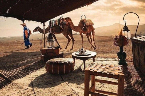 Marrakech: Camel & Quad Bike Tour with Sunset, Dinner & Show