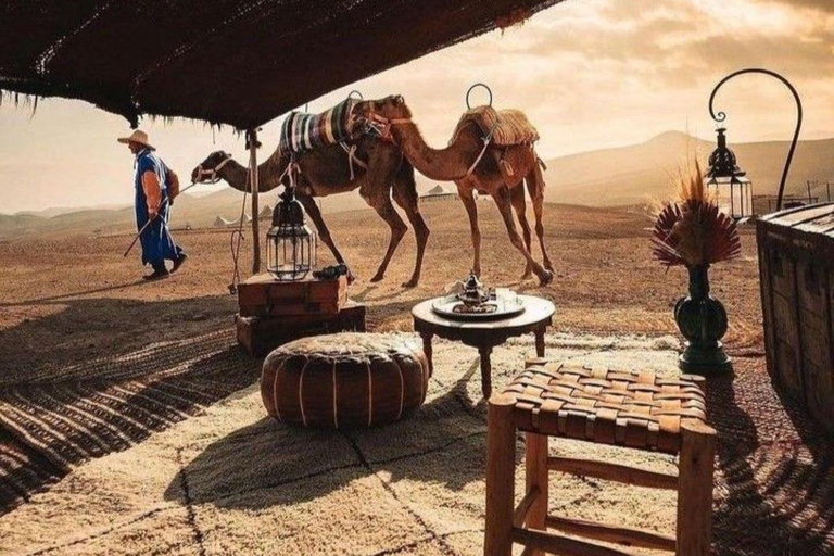 Marrakech: Camel & Quad Bike Tour with Sunset, Dinner & Show