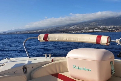 Location de bateaux autoguidés à Costa Adeje Tenerife4 heures Bateau entier pour 5 personnes maximum