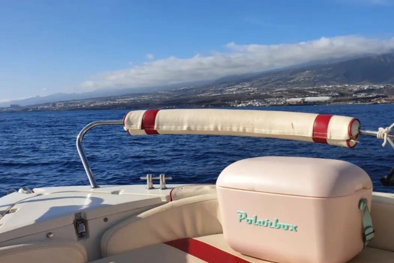 Location de bateaux autoguidés à Costa Adeje Tenerife5 heures Bateau entier pour 5 personnes maximum