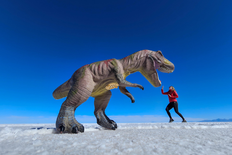 La Paz to Uyuni Salt Flats & Lagoons to San Pedro de Atacama ENGLISH TOUR