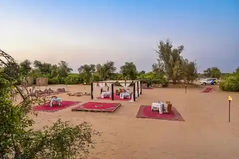 VIP Çöl Safarisi Dubai: Kum Tepeleri Turu, Barbekü ve Sınırsız Alkollü İçecekler