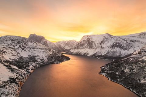 From Abisko: Norwegian Fjords and Wildlife Day Trip