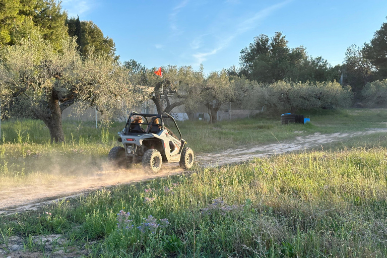 Salou: esperienza di guida di buggy per bambini in un ambiente sicuro