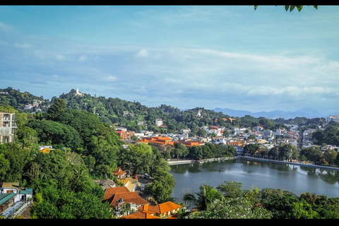 Kandy To Airport / Colombo Or Negombo Private Transfer