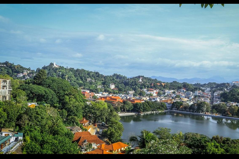 Kandy To Airport / Colombo Or Negombo Private Transfer