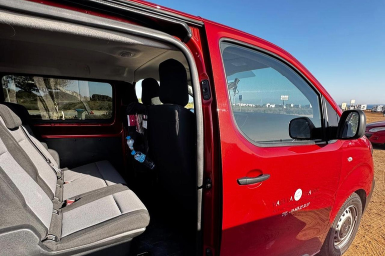 Salt Route and Birdwatching from Alicante to Santa Pola by Van