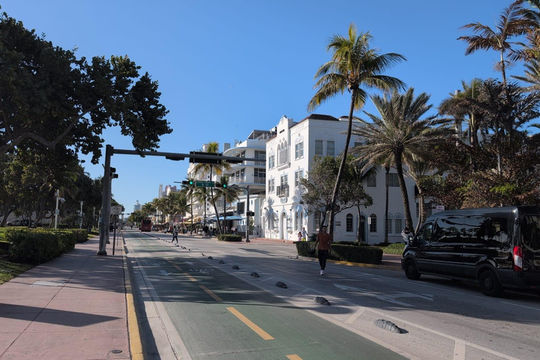 Miami Combo: Everglades Adventure and Sightseeing Tour Combo - Downtown Miami pickup