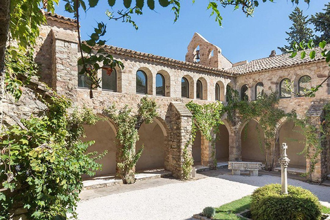 Visite privée d'une journée à Aix en Provence et dégustation de vins