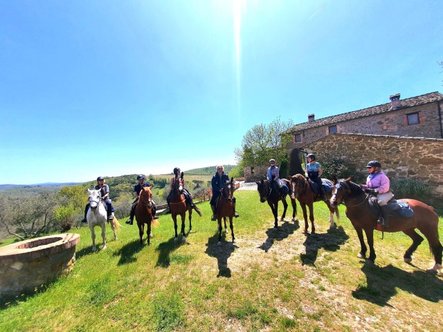 Visit Horseback And Wine Tasting In Tuscan Countryside in Bucine
