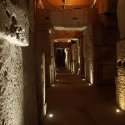 Roma: Tour del Colosseo sotterraneo e dell'Arena