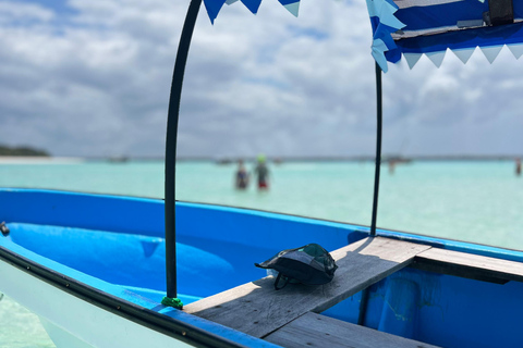 Zanzibar: Mnemba Island Snorkeling Tour Zanzibar: Mnemba Island Snorkeling Tour