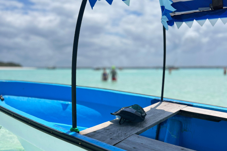 Zanzibar: Mnemba Island Snorkeling Tour Zanzibar: Mnemba Island Snorkeling Tour