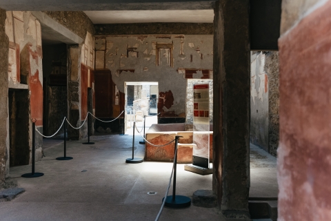Vanuit Napels: dagexcursie naar Pompeii en de VesuviusTour met een Engelse live gids met ophaalservice vanaf het hotel