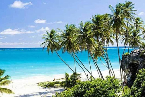 Barbados: Full-day Coast to Coast Tour