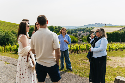 From Paris: Private Sancerre Wine Tour w 10 Tastings & Lunch