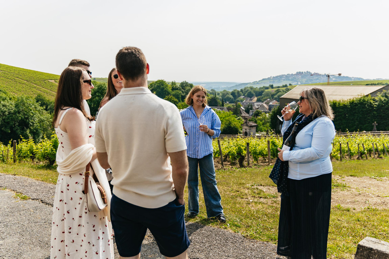 From Paris: Private Sancerre Wine Tour w 10 Tastings & Lunch