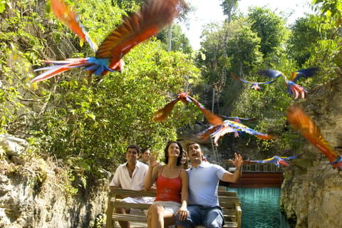 From Riviera Maya: Xcaret Park Full Combo!